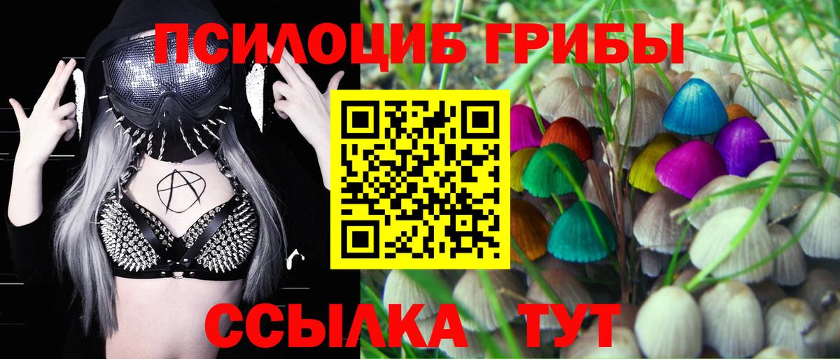 Псилоцибиновые грибы Cubensis  Вход с VPN  Каменск-Уральский 