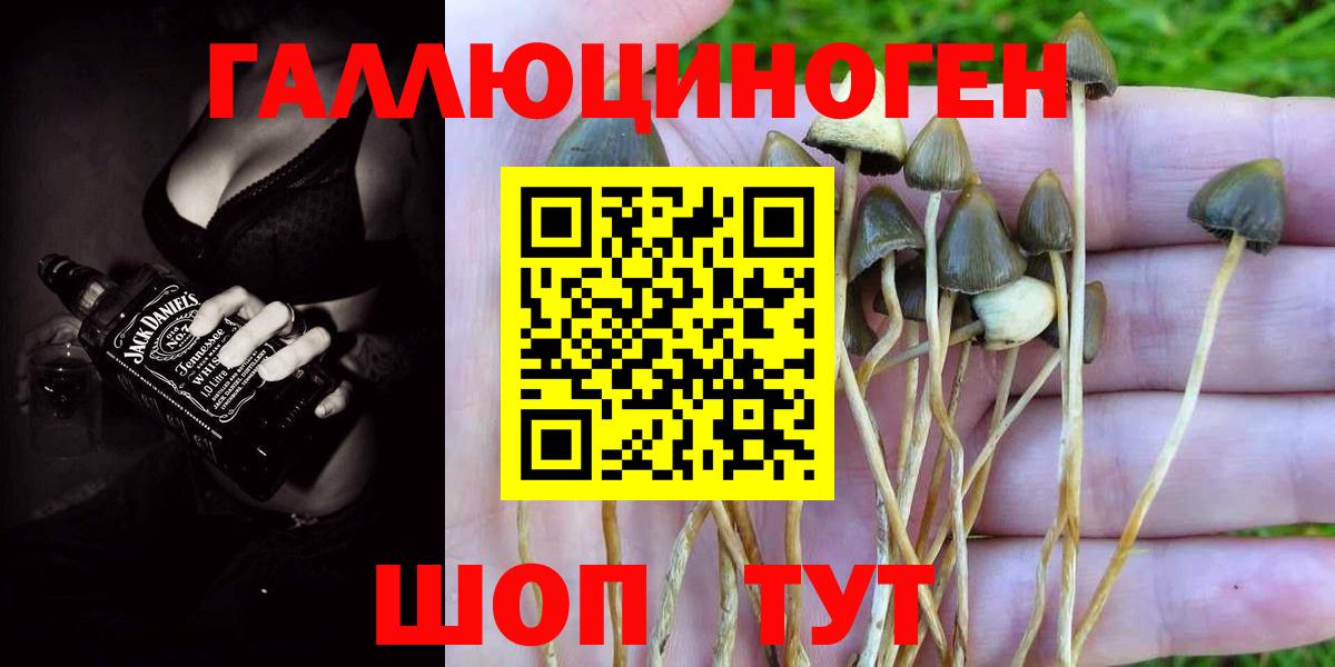 Псилоцибиновые грибы ЛСД Каменск-Уральский